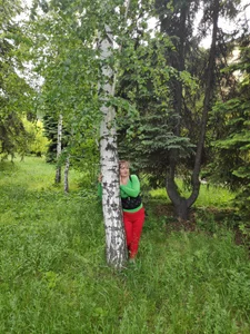 Lusi-777Hint - if you want to fill me Bild