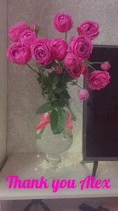 MollyBer Flowers from you (777 tkn to send me flowers and make me happy) صورة واحدة|MollyBer Flowers from you (777 tkn to send me flowers and make me happy) صورتان|MollyBer Flowers from you (777 tkn to send me flowers and make me happy)  7 صور|MollyBer Flowers from you (777 tkn to send me flowers and make me happy)  7 صورة