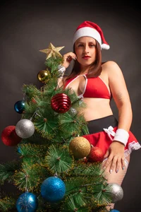 BarbaraTyleer Delicious Christmas รูป  3