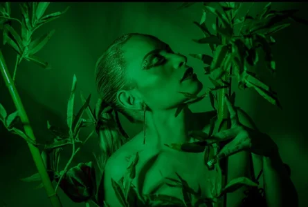 Jeanineescott SAN PATRICIO Pic 4