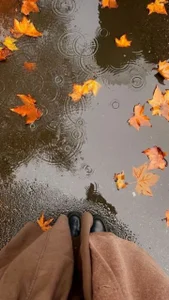 🖤 od JuneWoods  snímek