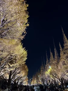 arisa_ch's XXX Nude Photo 4