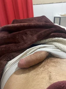 novinhoroludo8 Pica зображення