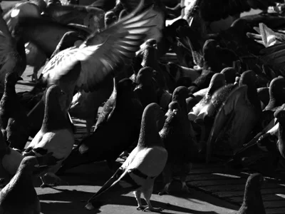 Soulsuccubus artistic photos of my city Immagine  2