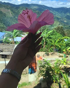 Public de startwerk Foto 5