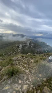 Randy9222Nature图片