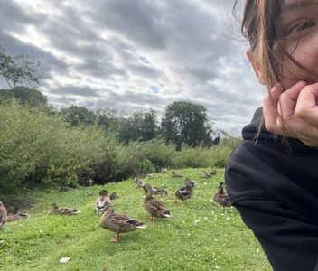 -Meowy- Public Kuva 5