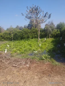 t_g1234tabangasex6: Public ( 6 фото)