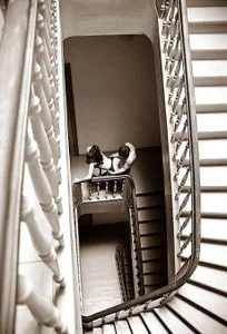 Public od pete777  2 snímek