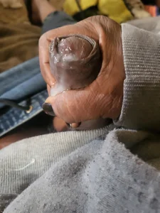 Nice_n_hairy580 Solo papi Pic 4