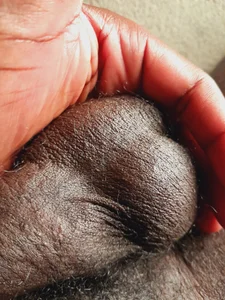 leonluxe Public Kuva 6