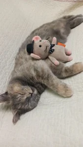 My favorites od melisssska  2 snímek