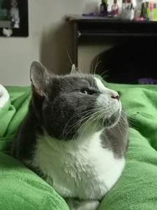 Katta_ossa Hidden Paradises: Landscapes that Ignite the Senses✨💜 slika 6