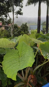 Public de Kat_Saky  6 Imagens