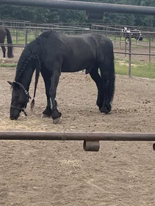 Malena_Mi my hobby Kuva 7