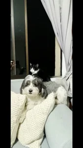 Public de Alex-Harrington  Imagens