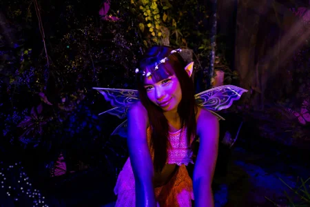Your enchanted fairy de laitana_l  4 Imagens