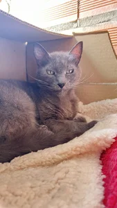 Kat_Art My adopted angels Pic 3