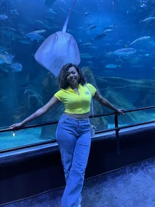 BLACK_ROSSE_1 kullanıcısının My trip through Brazil! albümü -  2 fotoğraf