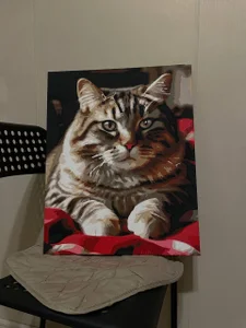 Lasly_Foxmy paintings😎图片 2