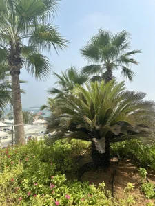 Public de Sperma_v_rotic  4 photos