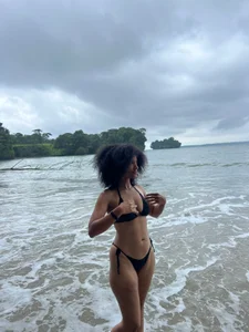 violettamartinsの🌴🌊☀🍃の枚の写真