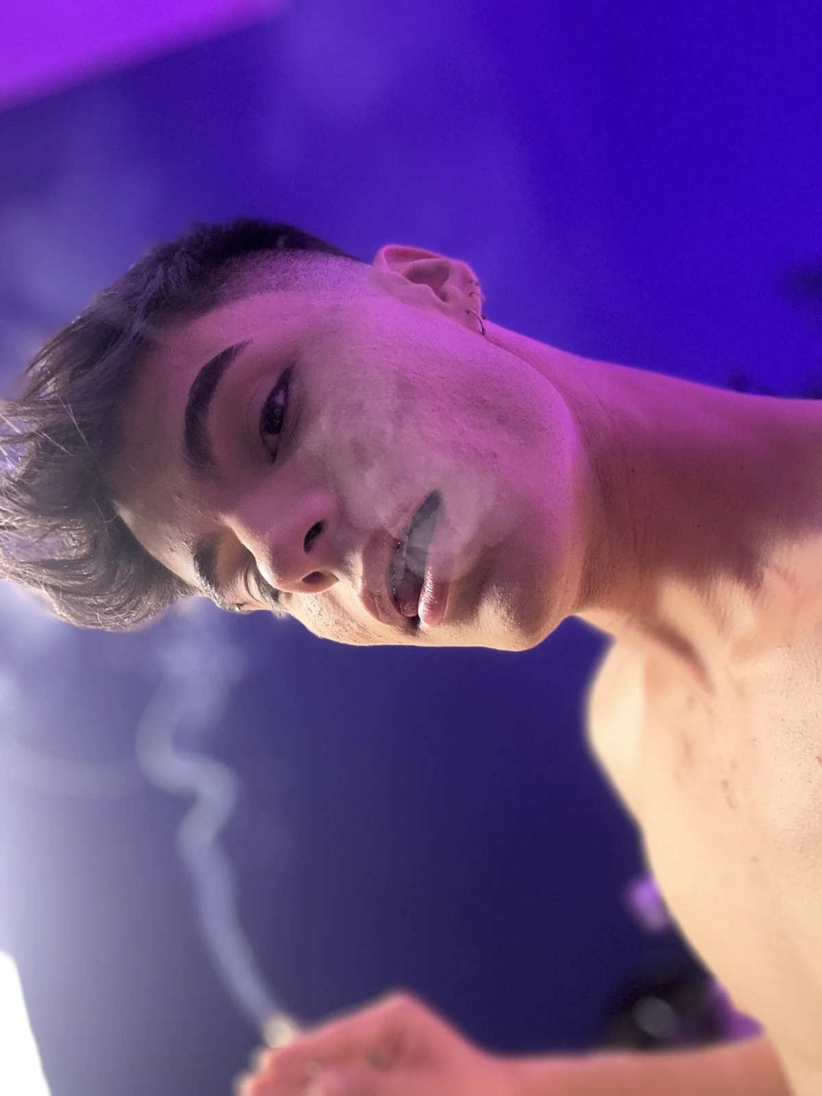 Dulcey- immagine di tendenza 9317
