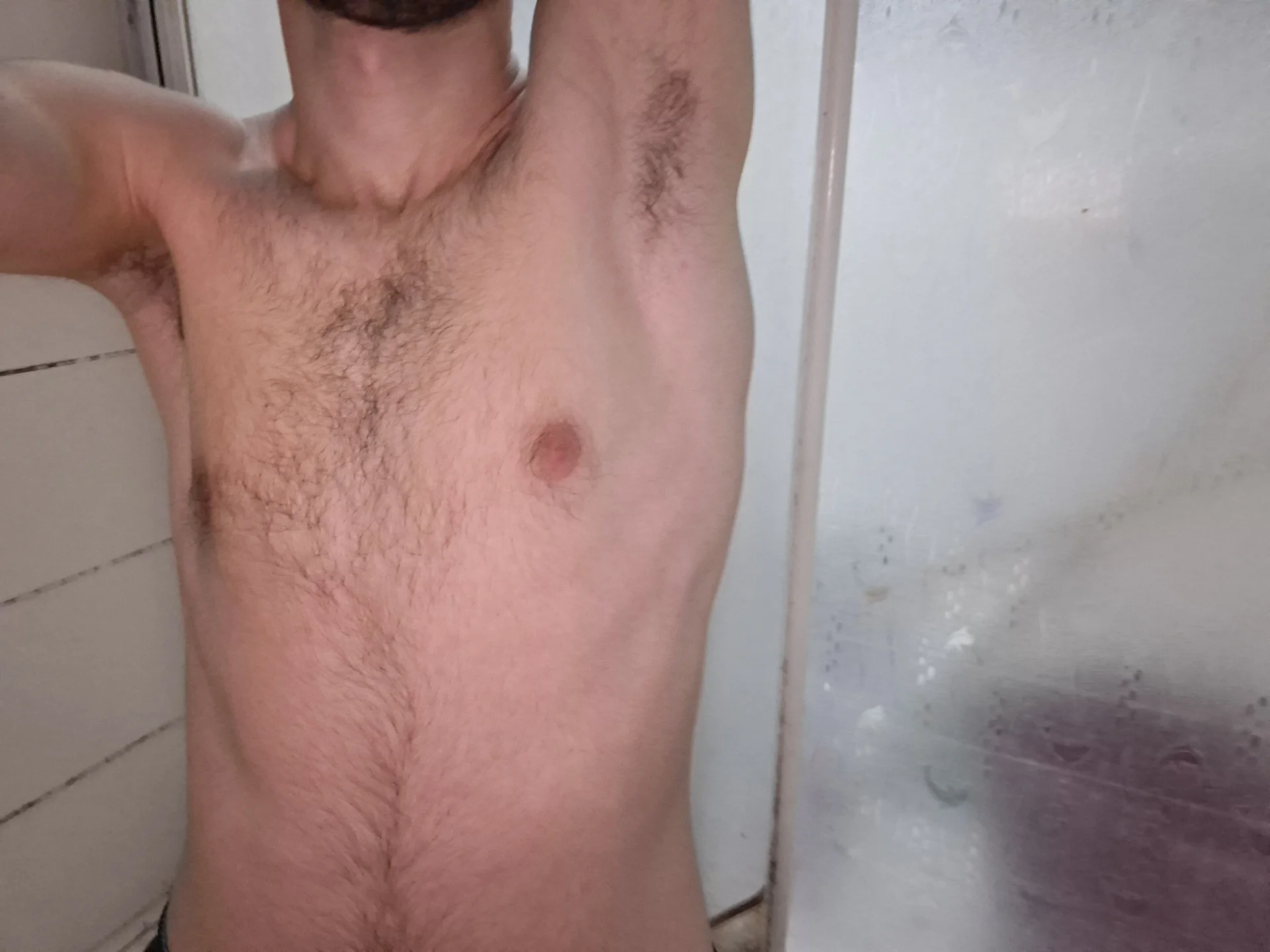 virginhairyboy20My body Bild 2