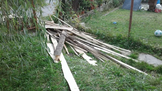 ExquisiteMature Firewood Hình 4