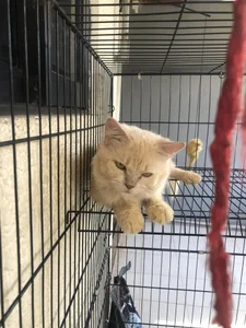 my bby de bebe_hemosa69x Foto 2