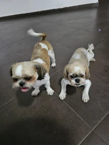 SophiaPottsのPart of meの 2枚の写真