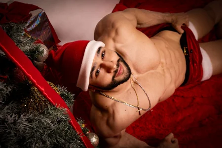 AlexLenox_ MERRY CHRISTMAS Εικόνα 6