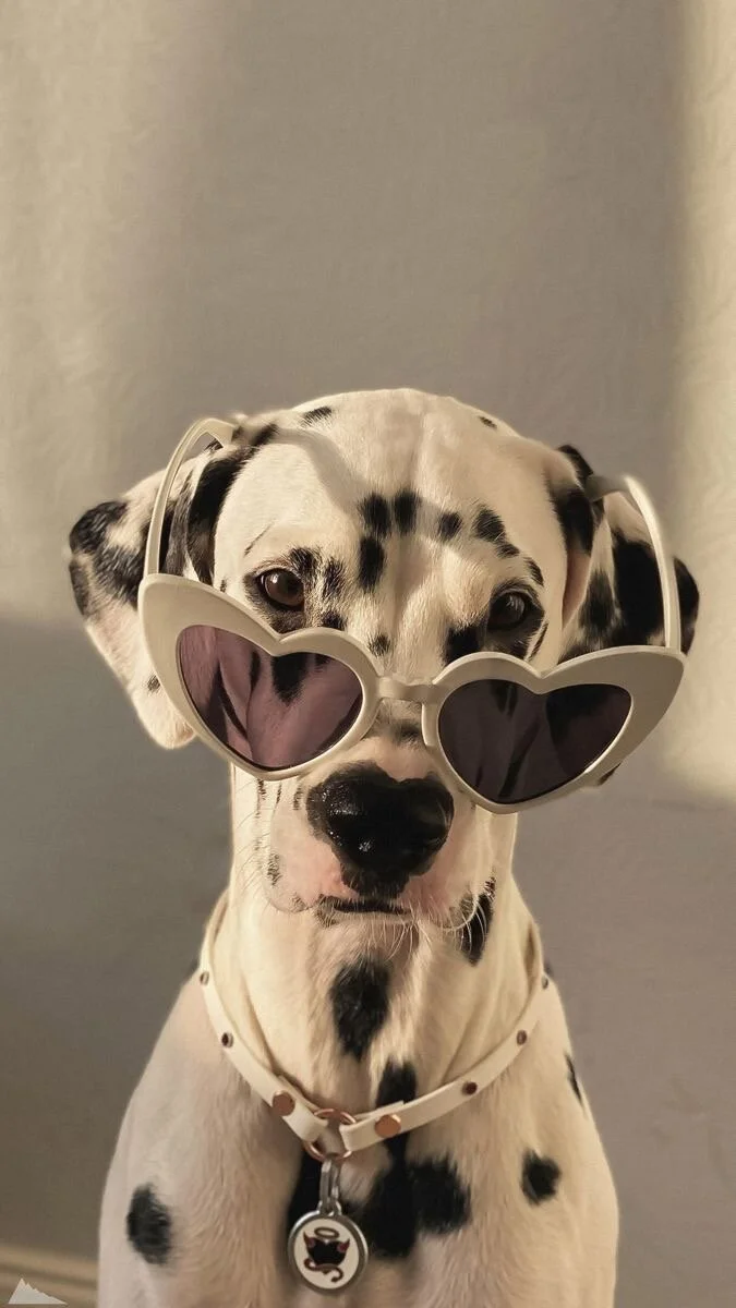 cartier_g
