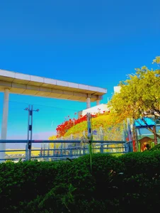 Zdjęcia nicocaceres95 Chile🇨🇱:  2