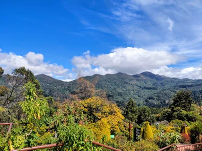 Zdjęcia Noisy_doll my beautiful city <3:  4