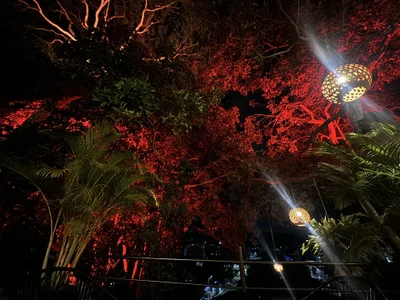 Maii_chan landscapes that my eyes admire Pic 8