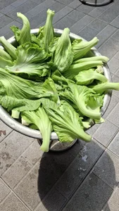 nuimit123 Lẹo nhau 사진