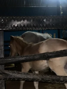 Kobayashiyan_Kun_uWux Public Poză 2