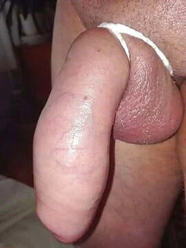 NiceToes43  7758. kiemelt képe