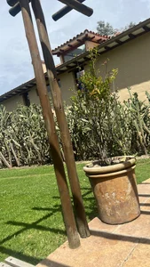 Alirawrz Villa de leyva love Pic 8