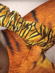 Tanned_tiger1 rawr Bilde
