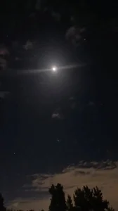 Public de egyptman220 Foto 3