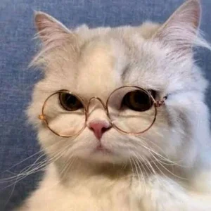 Mimi_cute20😽😽😽图片 2