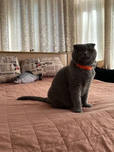 me with my lovely girl od SugarMuse  6 snímek