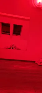 pleasure_of_life Public صورة واحدة|pleasure_of_life Public صورتان|pleasure_of_life Public  4 صور|pleasure_of_life Public  4 صورة