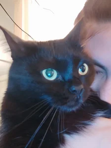 GumusGuray ❤️ my cat ❤️ Pic 2