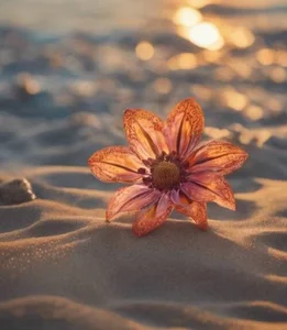 Alika01 sunset Immagine  3