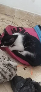 AbellaLizz Gatica ❤️ Pic