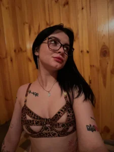 dimlight1 VESNA_ANSEV Billede 3