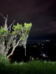 ❤️ de ZiaCalifa  4 Imagens